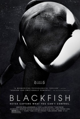 Blackfish-Furia-Animal_poster